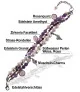 Beau 3-reih. Armband mit Süßwasserperlen, Granat, Amethyst, Rosenquarz – Armbänder – Ansicht 4