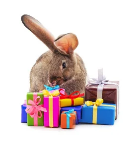 Ostern Geschenkverpackung – Geschenke – Ansicht 1