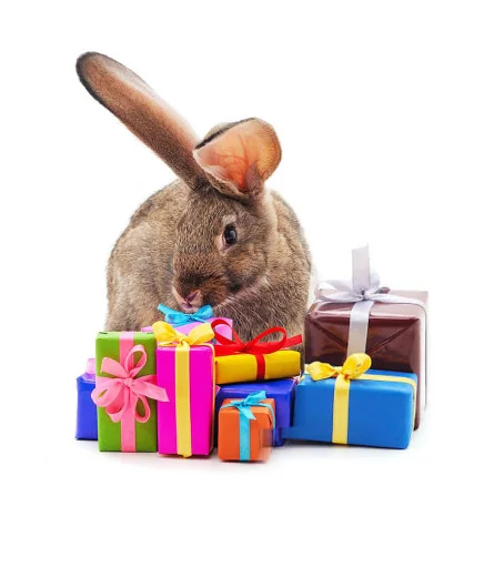 name] – Cadeaux – Afficher 1